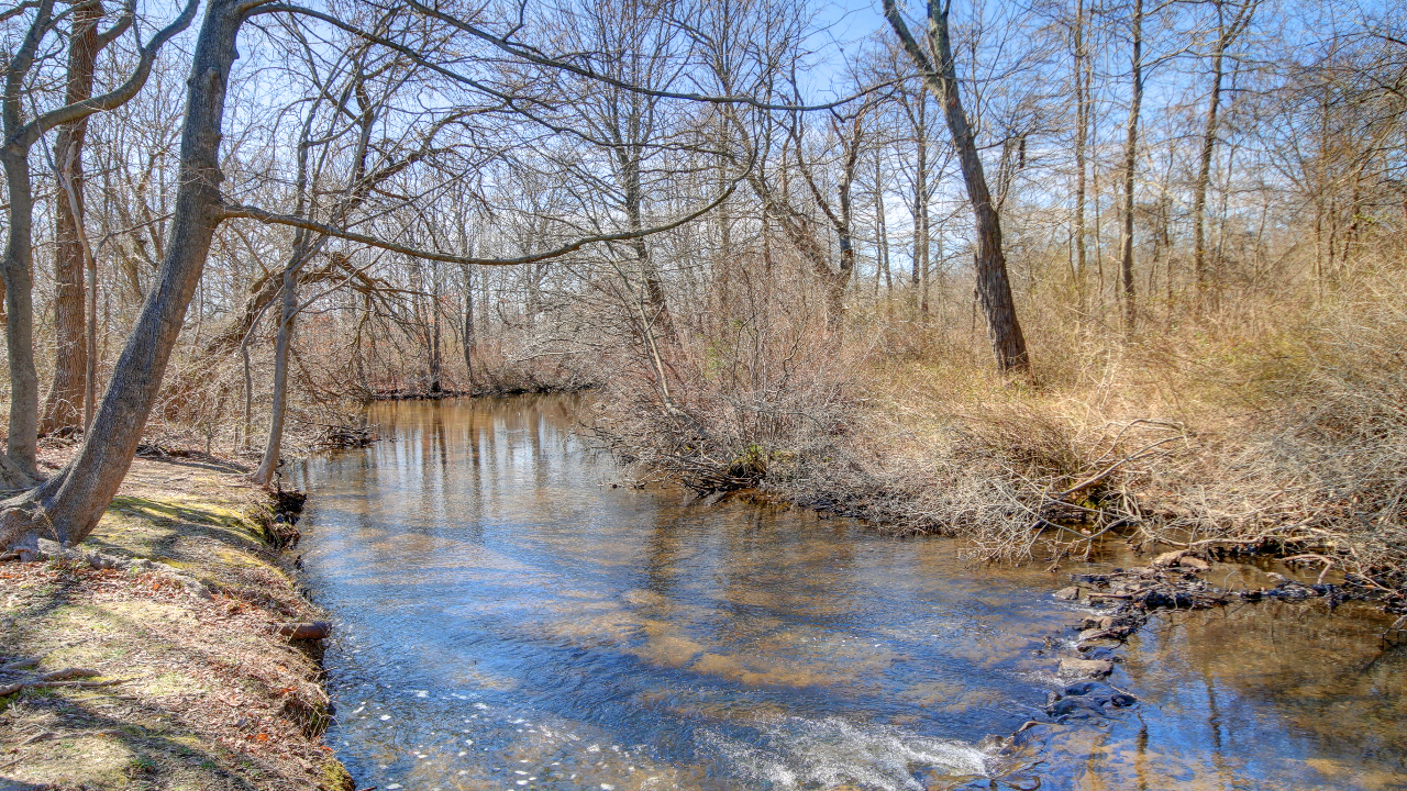 Front Water View