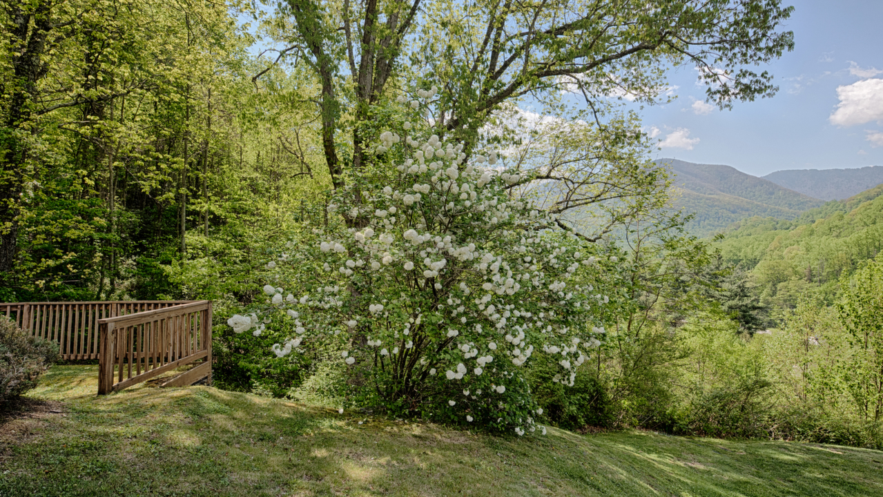 Backyard with Mountain View