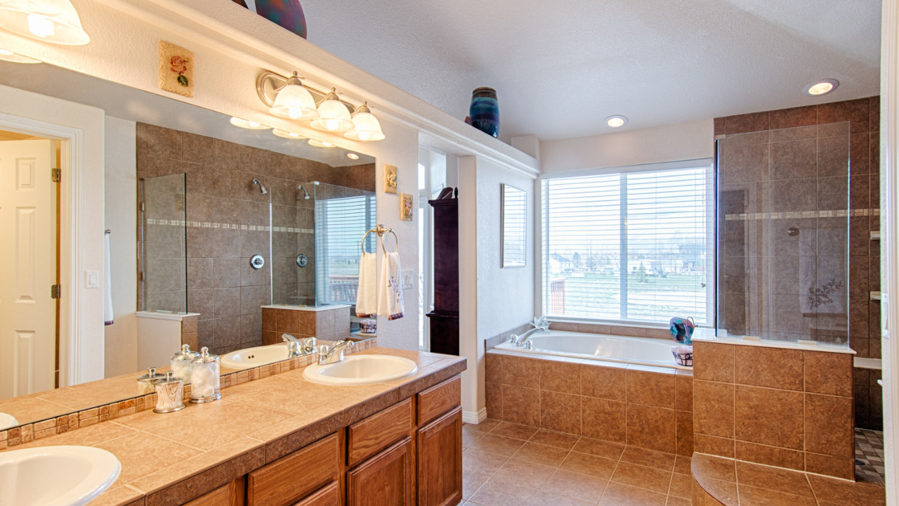 Master Bathroom View 1