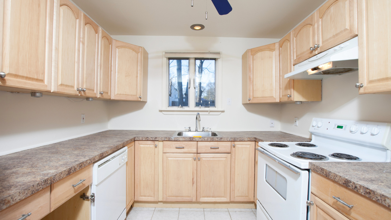 27 Mangolia Ave, Lake Grove, NY, 11755 Scene 4