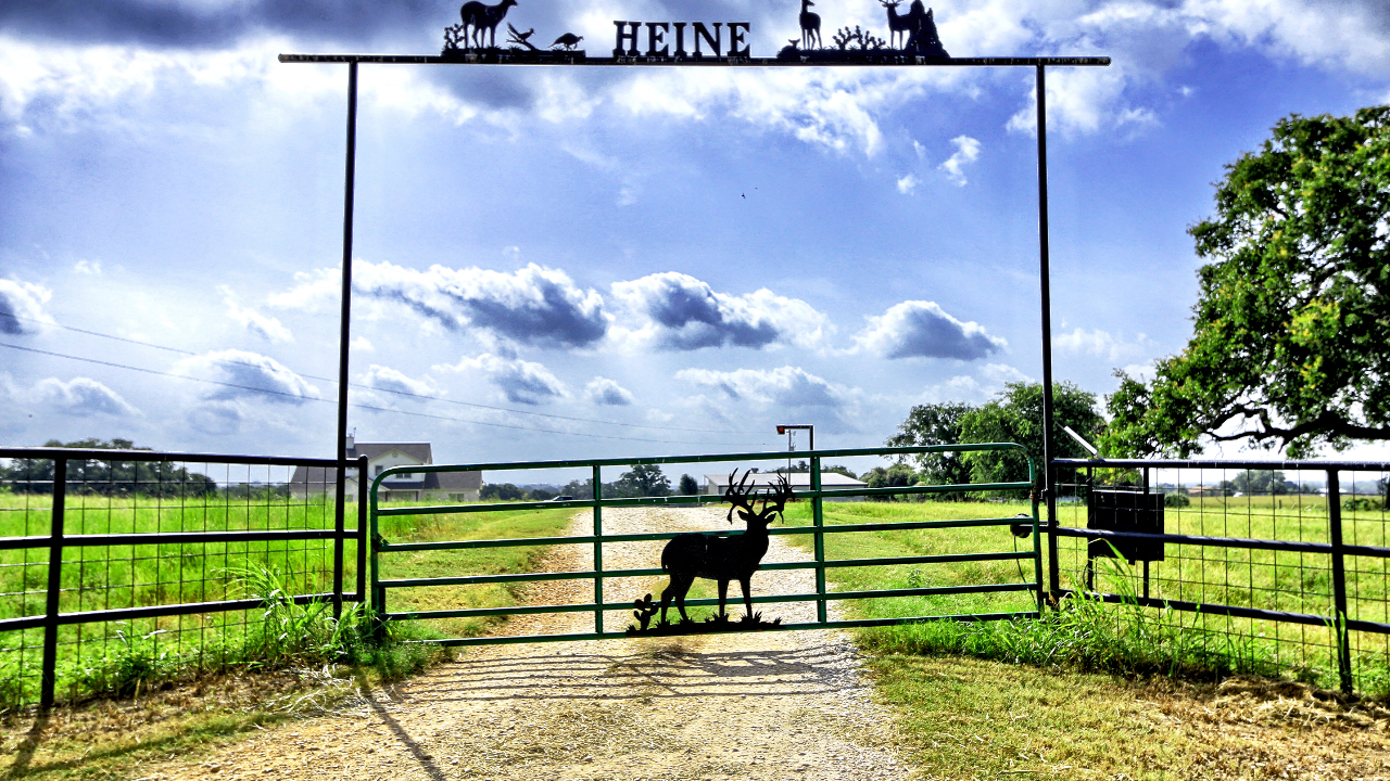 Front Gate