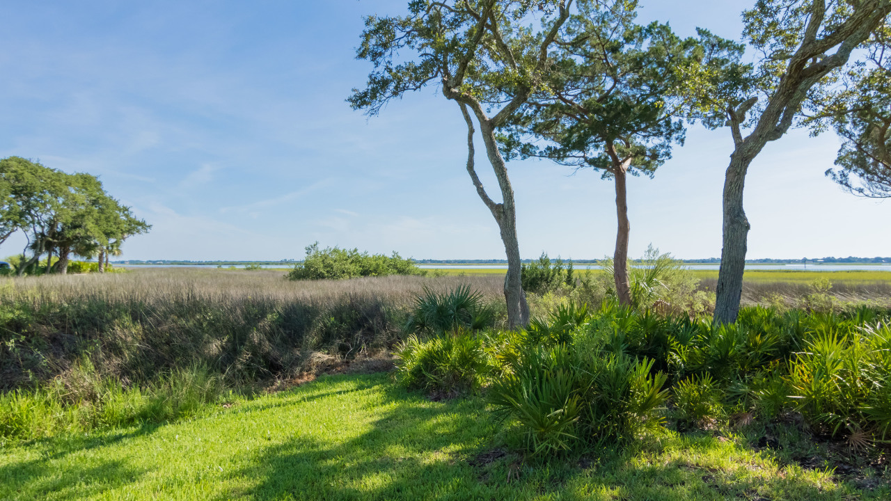 Intracoastal Back Yard