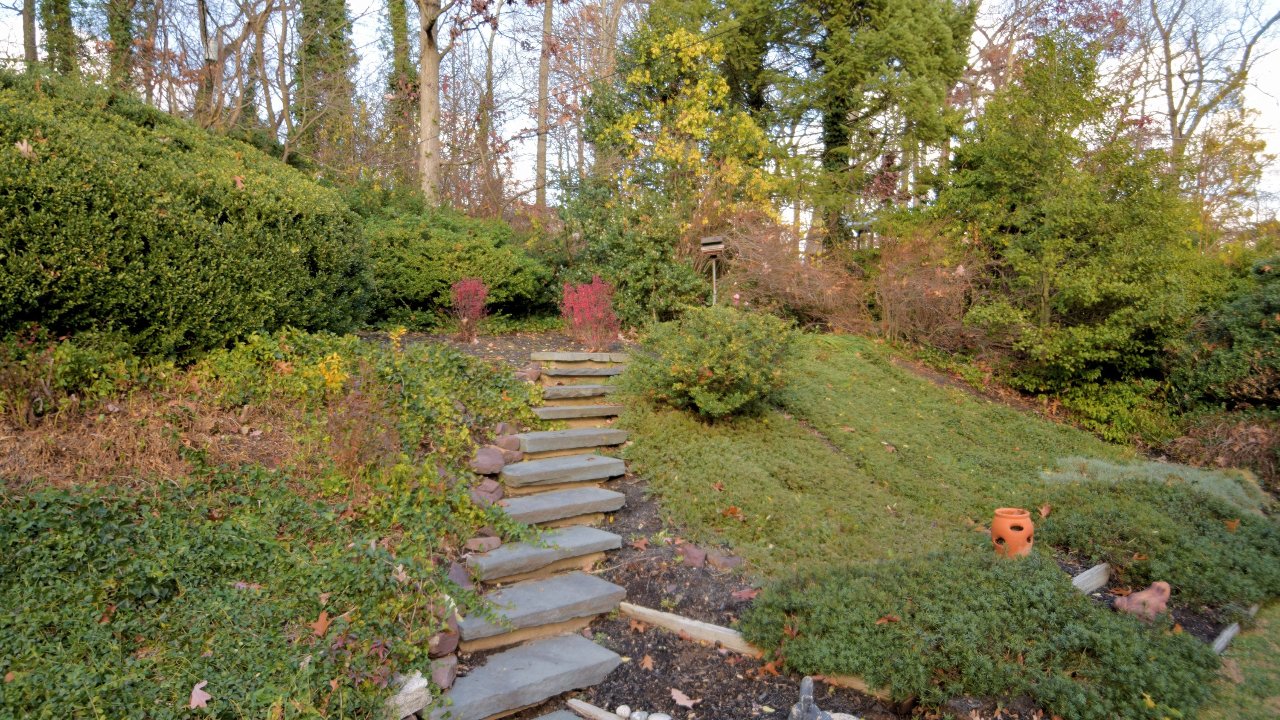 1332 Rose Rd, Abington, PA, 19001 Scene 4