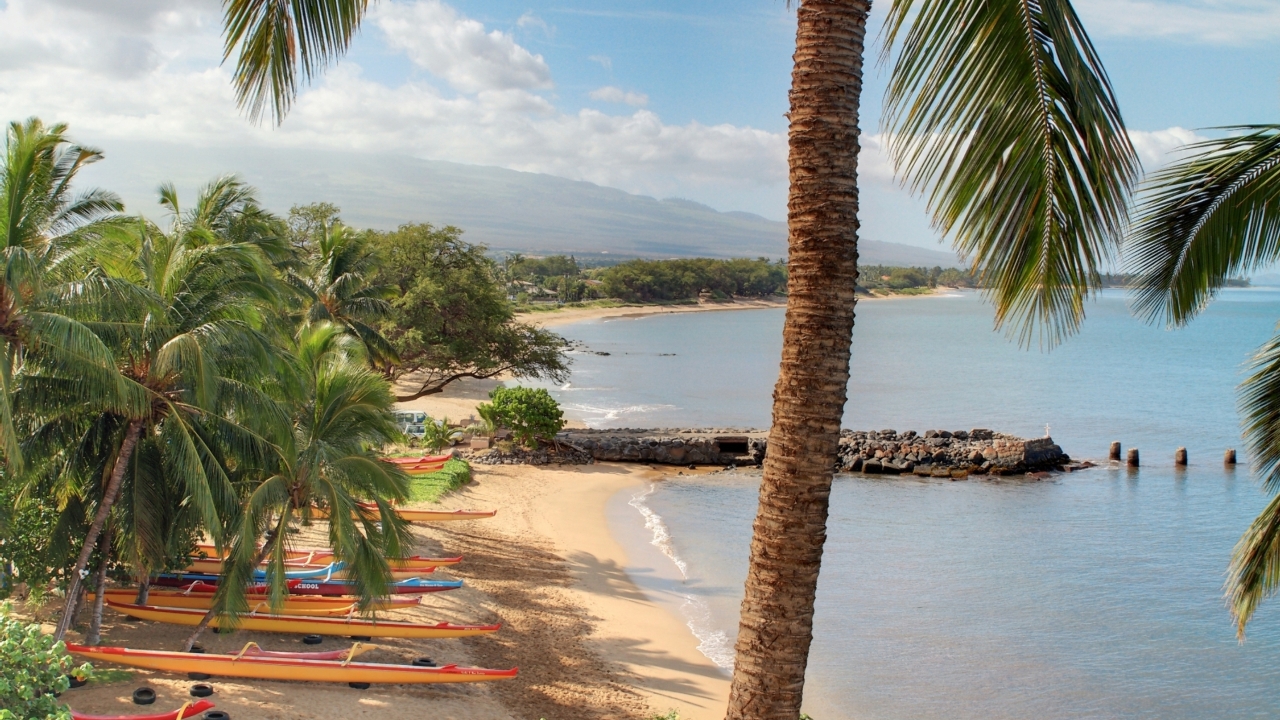 South Facing Beach View