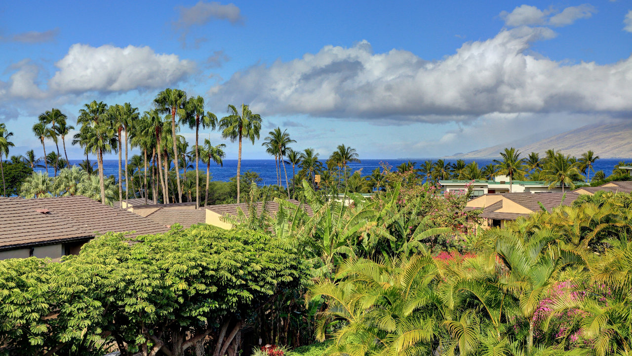 Lanai Ocean View 2
