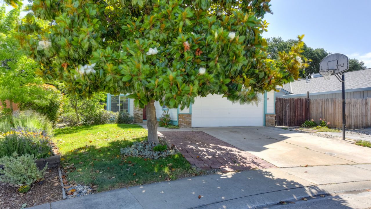 8305 Bull Mountain Cir., Elk Grove, CA, 95758 Scene 3