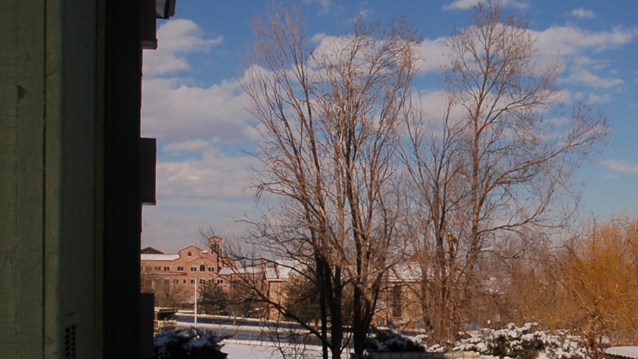 View of Campus from Balcony