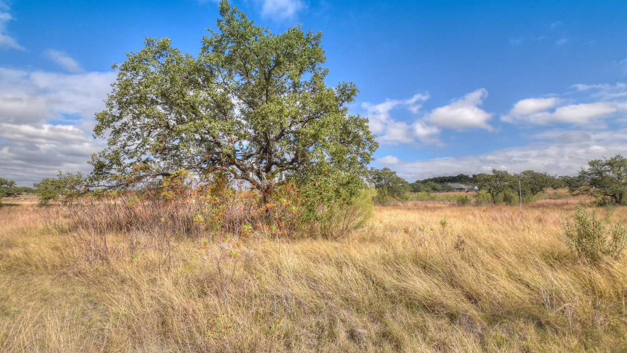 Summit Springs, Marble Falls, TX, 78654 Scene 2