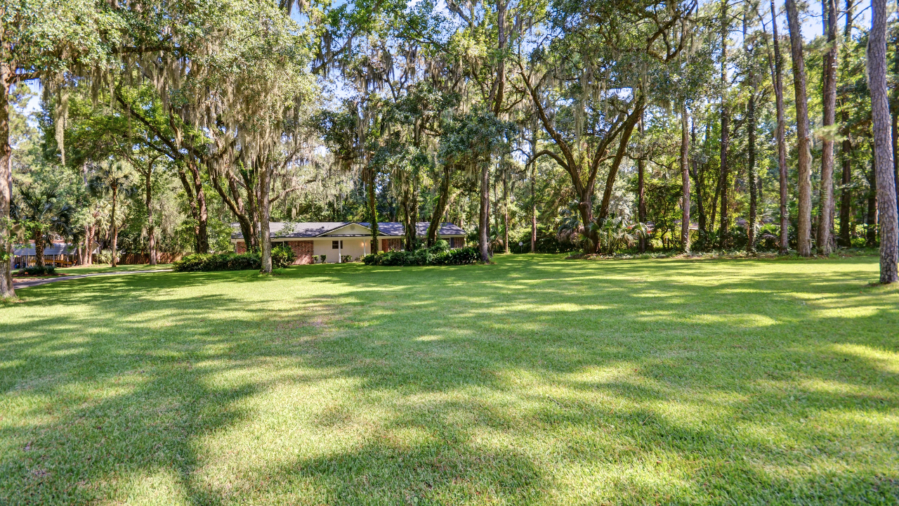 Backyard