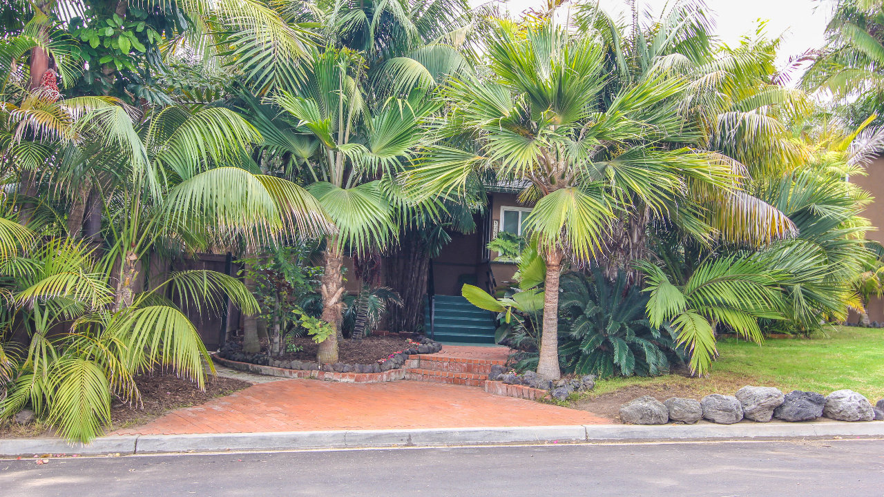 5284 Dawes St., San Diego, CA, 92109 Scene 1