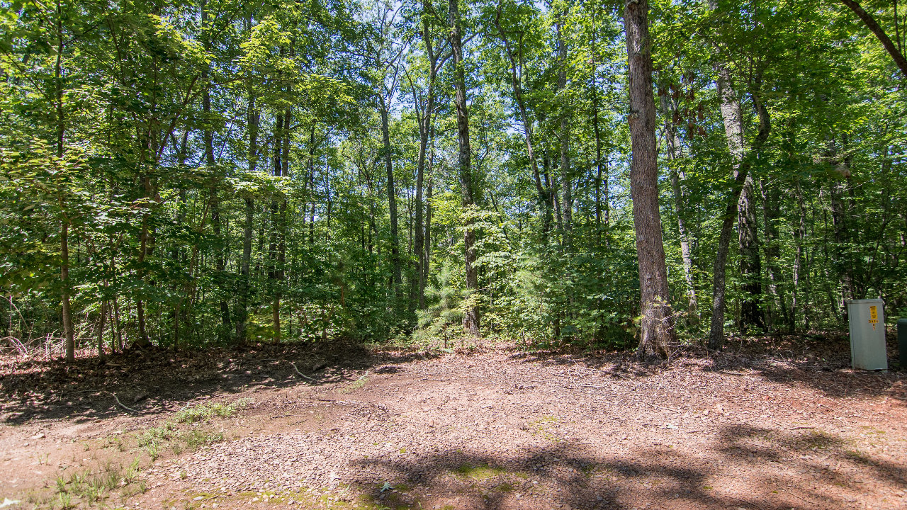 Rooks Rd Lot 26, Mineral Bluff, GA, 30559 Scene 1