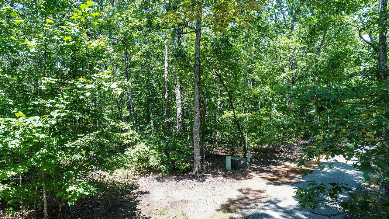 Rooks Rd Lot 26, Mineral Bluff, GA, 30559 Scene 3