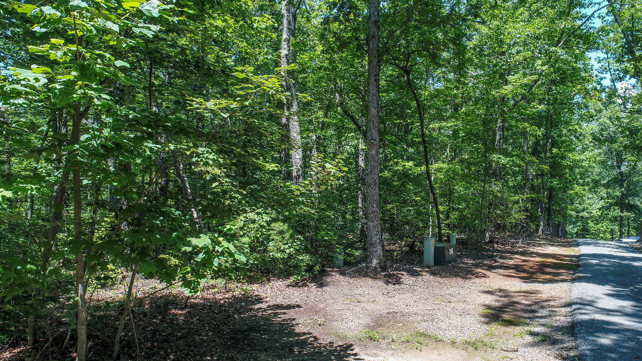 Rooks Rd Lot 26, Mineral Bluff, GA, 30559 Scene 4