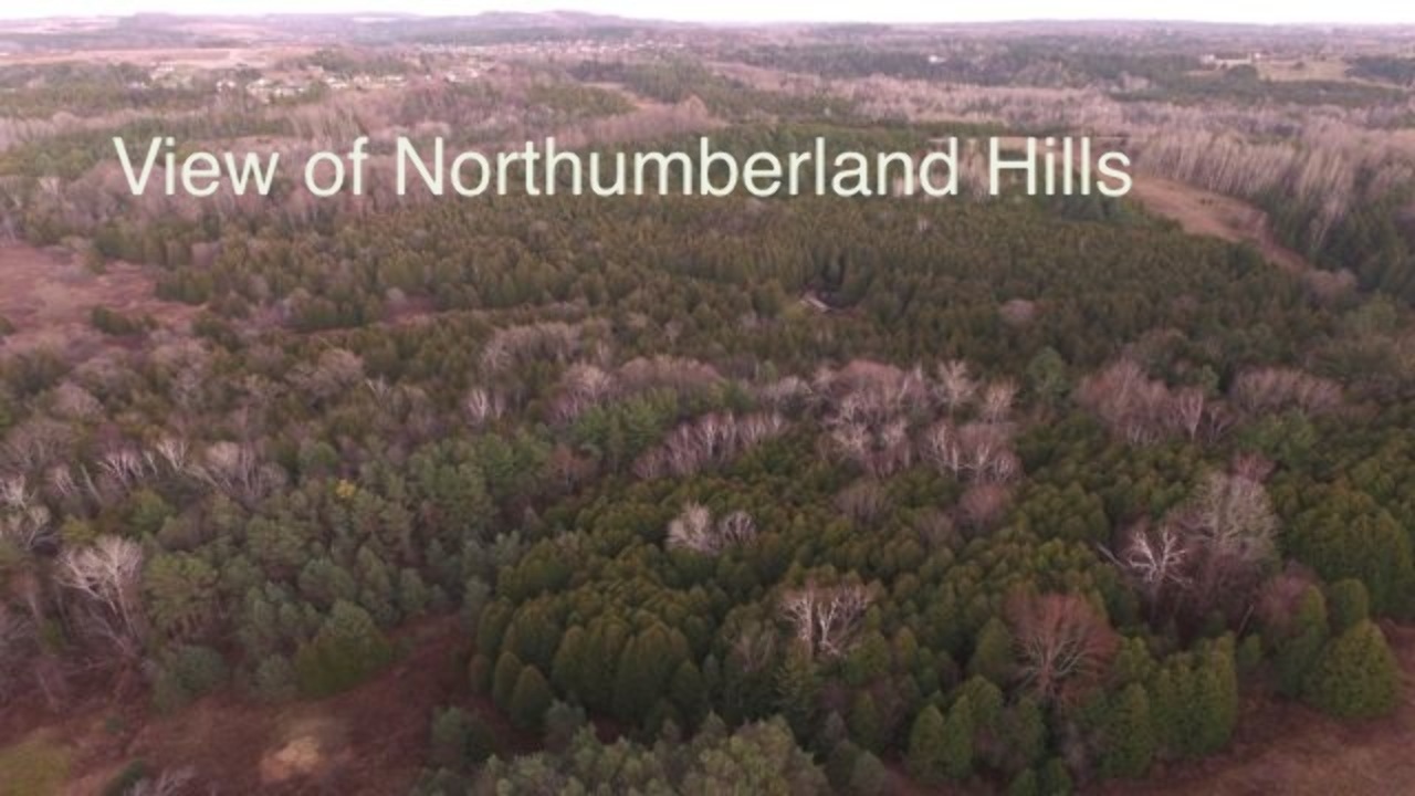 And Take In the View