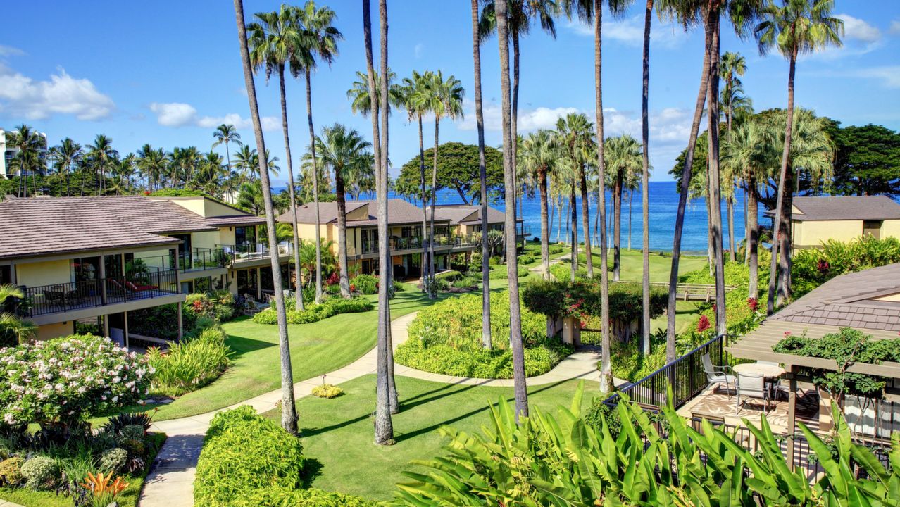 South Facing Ocean View