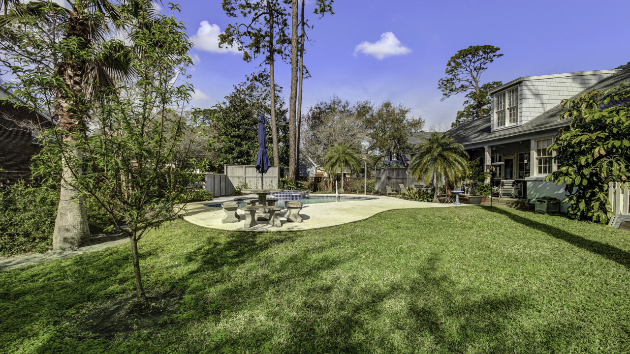 Backyard