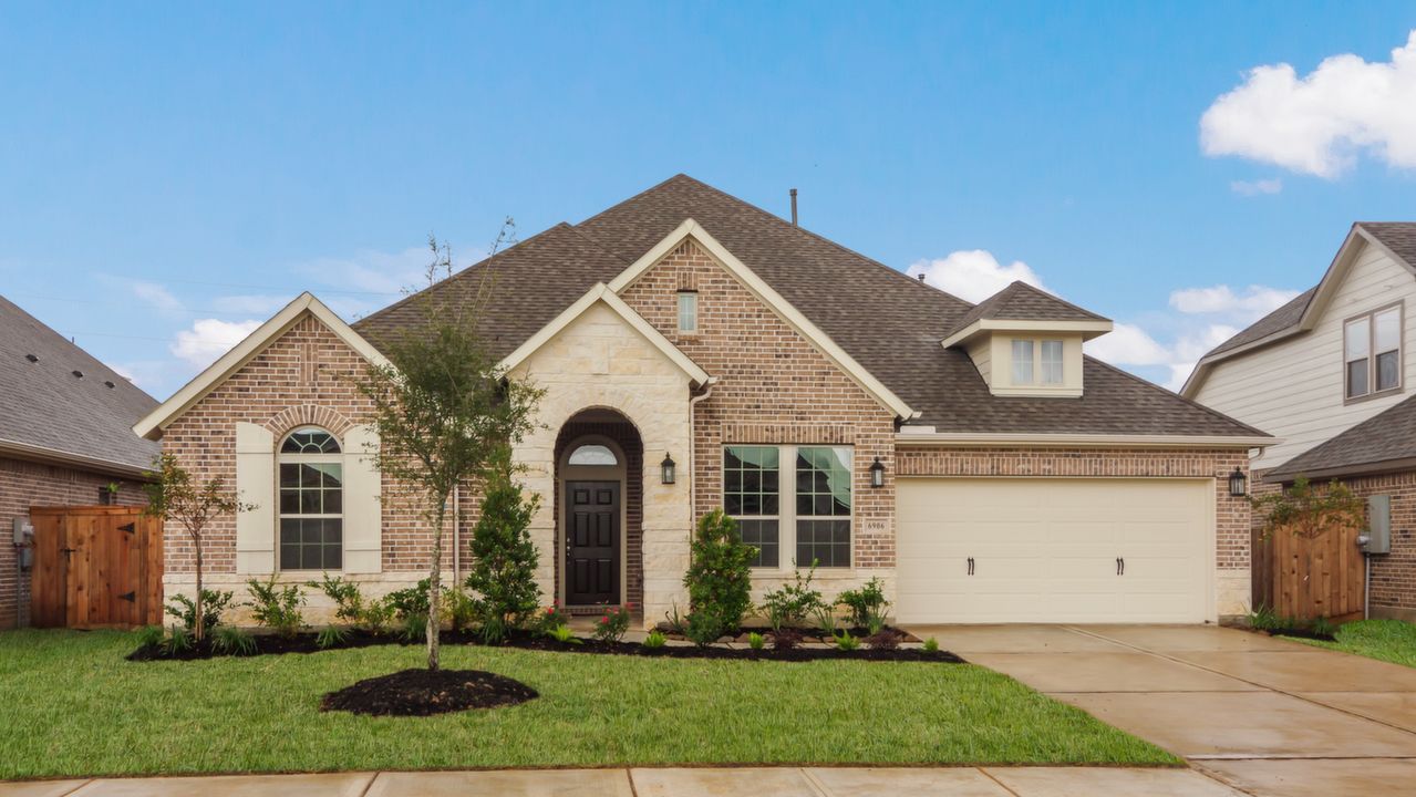 6906TwilightElmTr_001