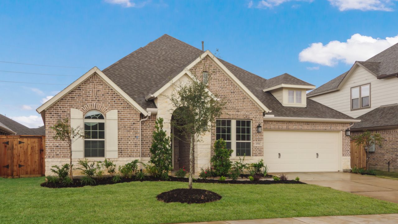 6906TwilightElmTr_002