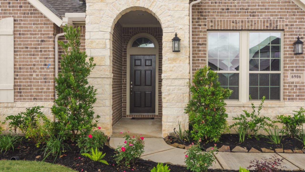 6906TwilightElmTr_003