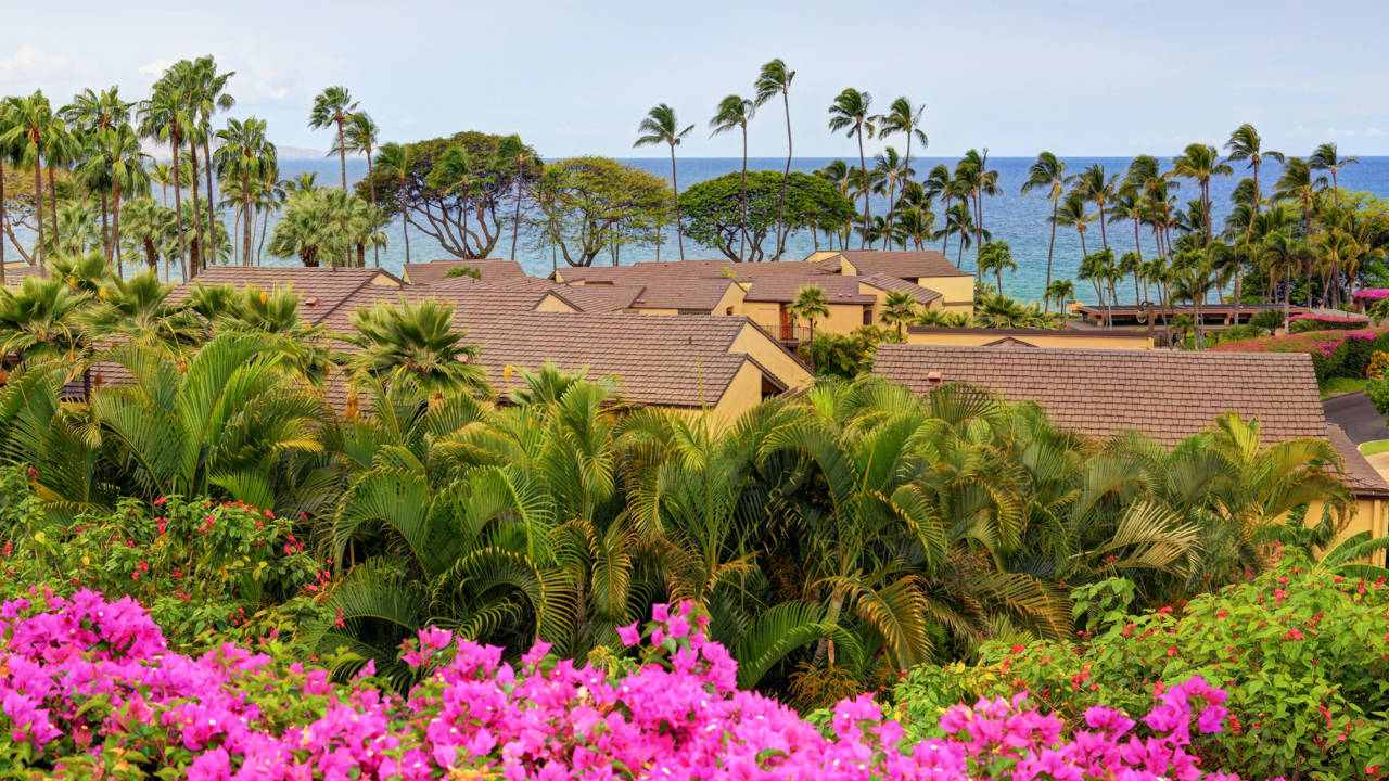 South Ocean View