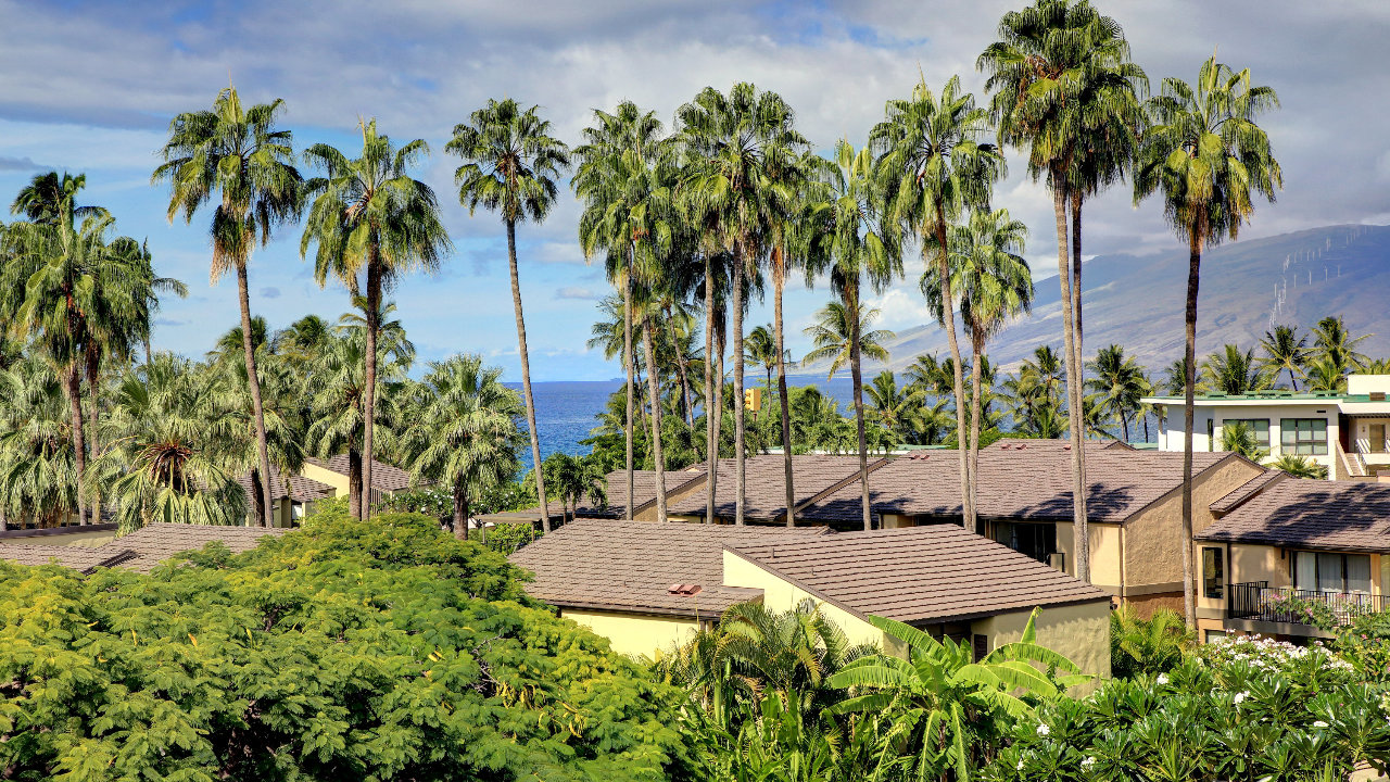 West Maui Mountain view