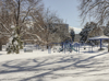 Park Across the Street - 875 Delaware St.