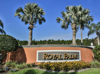 Royal Palm