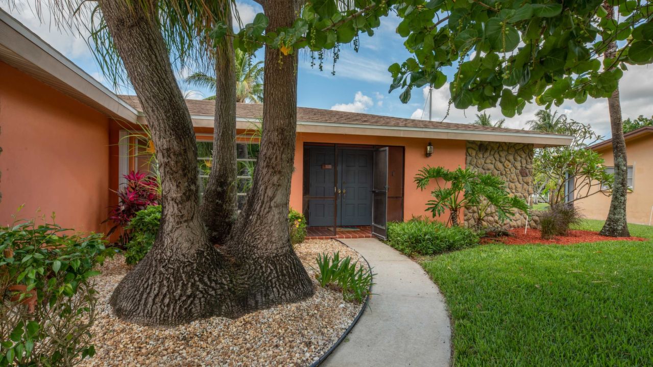 Path from the Driveway