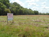 60 + / - Acres , 3 Tracts