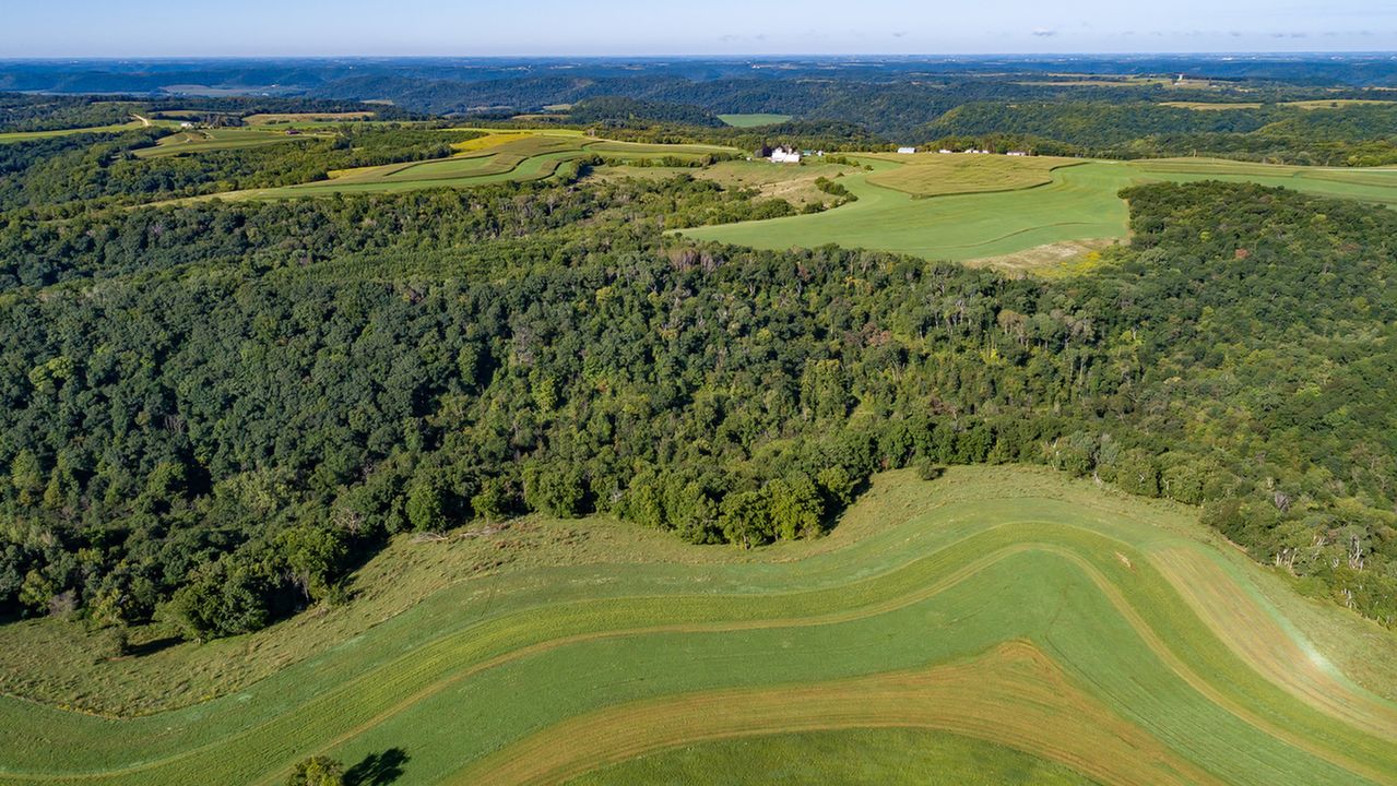 Woodland facing west