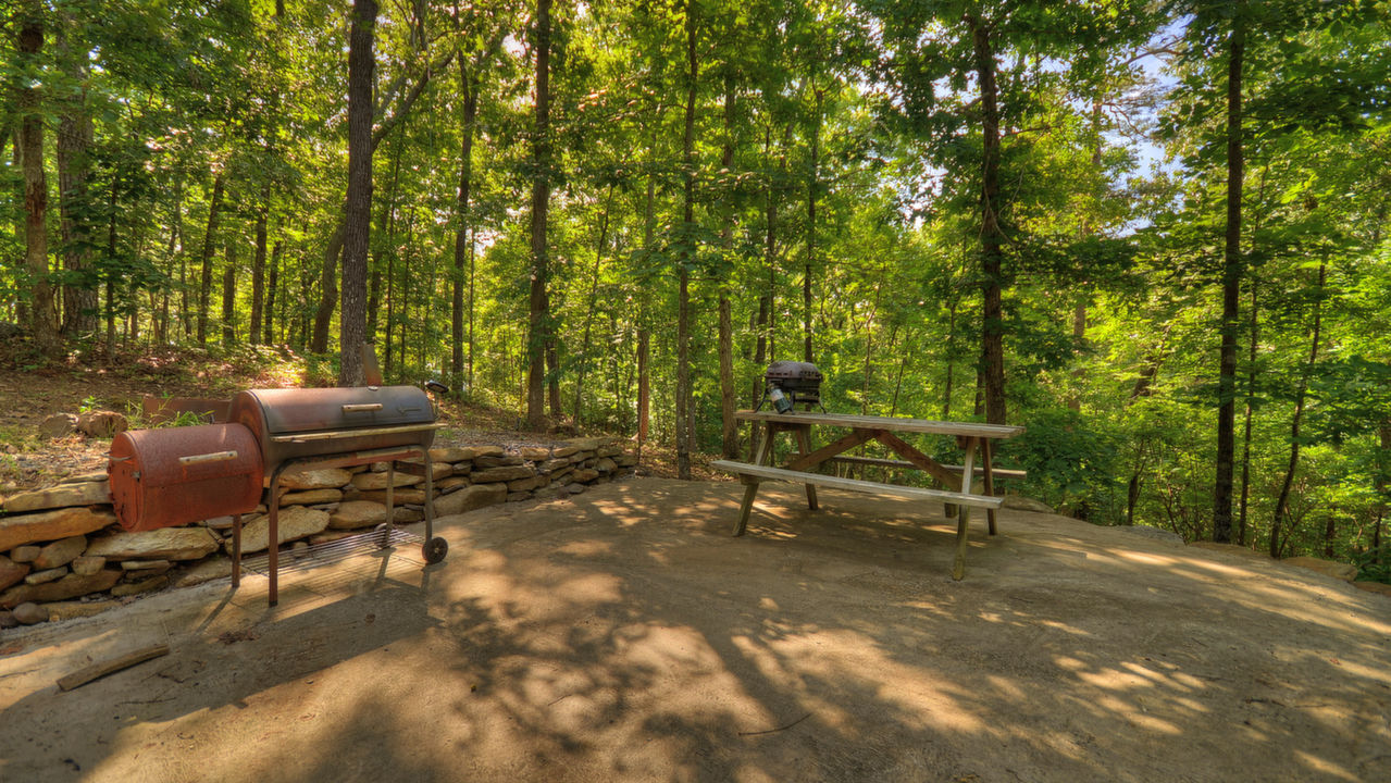 405 Jester ct, Ranger, GA, 30734 Scene 3