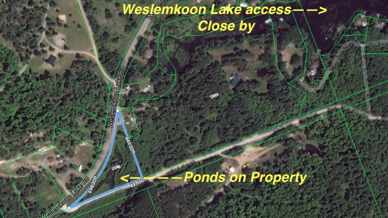 5598 Weslemkoon Lake, Gilmour, ON, KOL 1W0 Scene 3