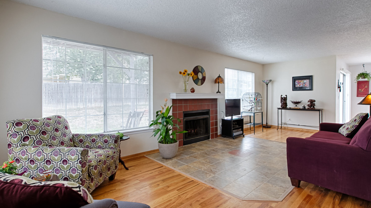 Living Room View 1