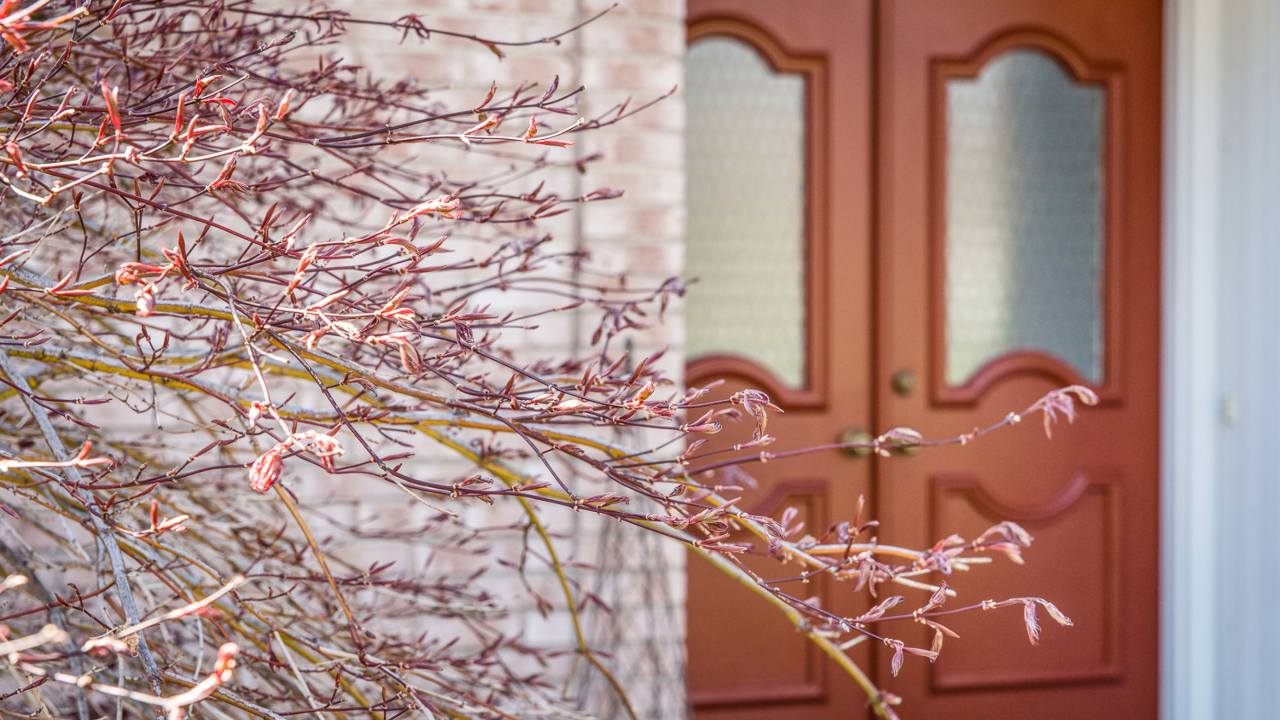 11 Kalleston Drive, Pittsford, NY, 14534 Scene 2