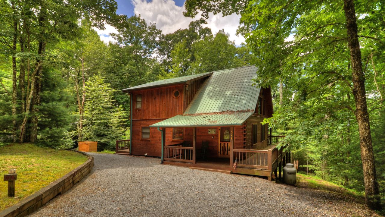 348 The Forest Has Eyes, Blue Ridge, GA, 30513 Scene 1