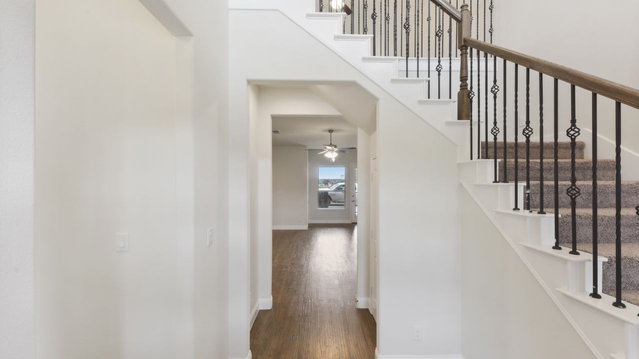 2416Belvedere_004