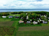 Aerial View 1