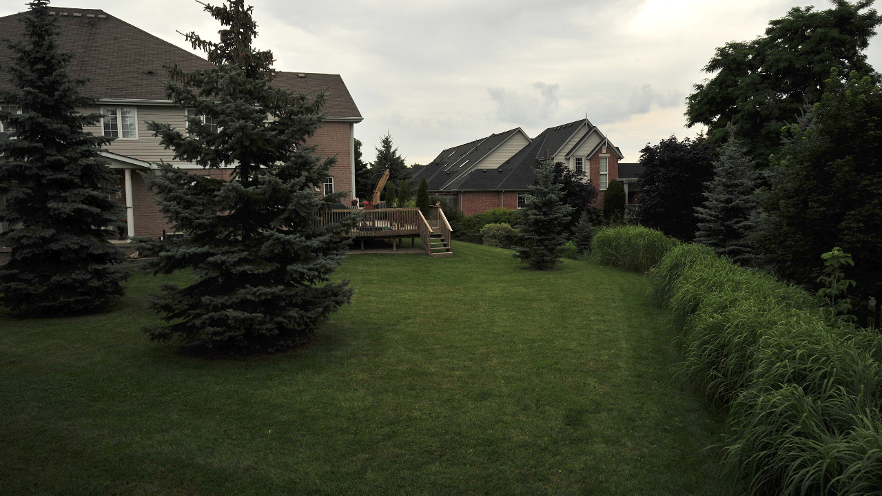 View Of Backyard