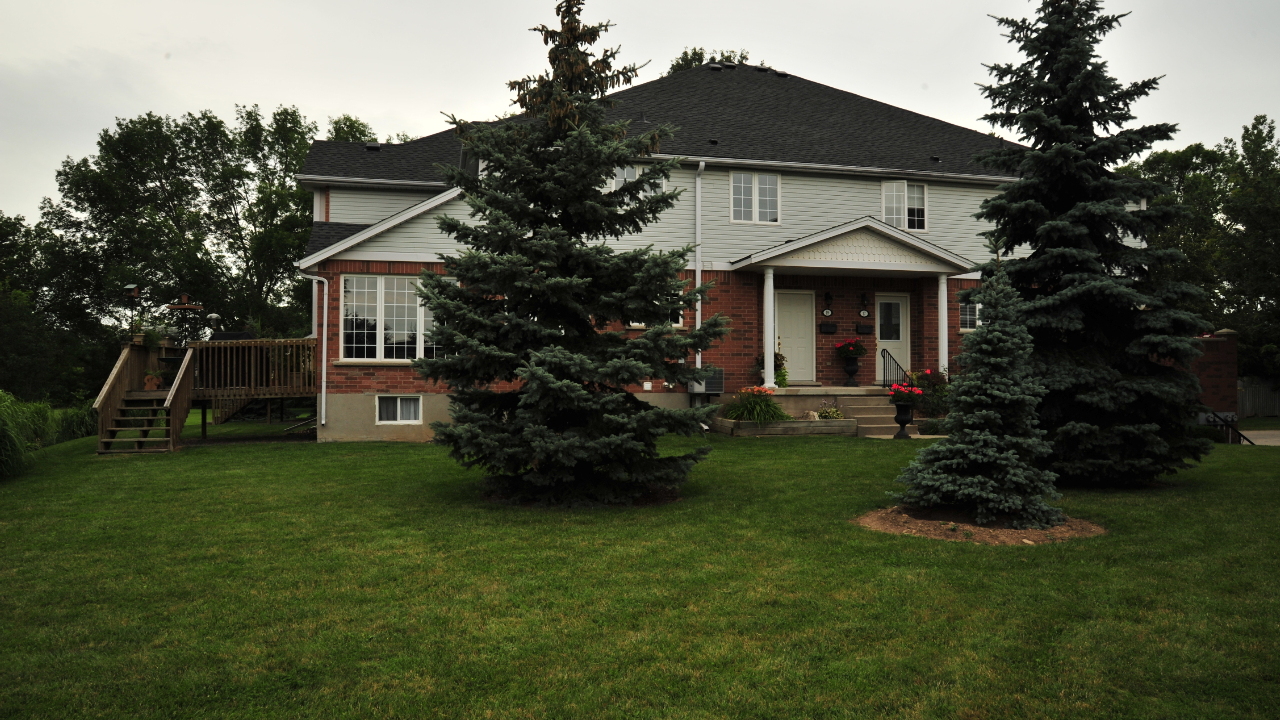 View Of Main Entrance