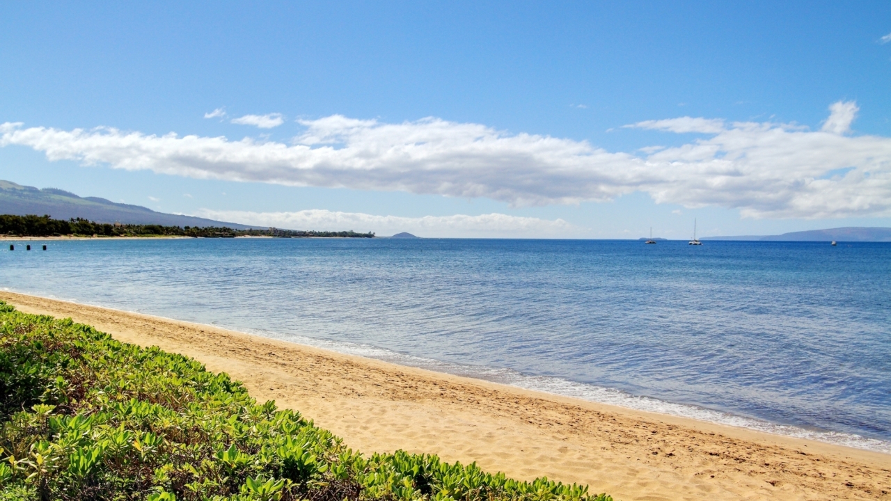 South Facing Beach View