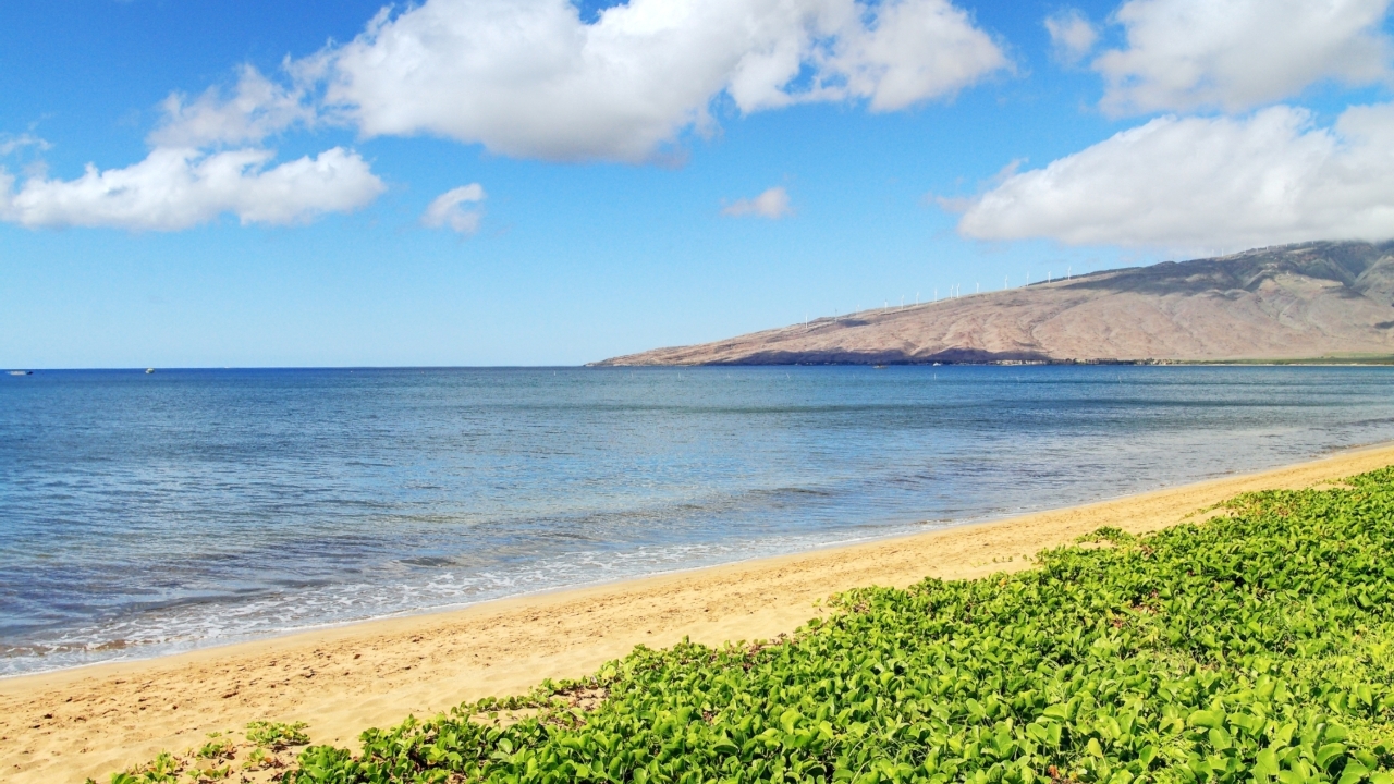 North Facing Beach View