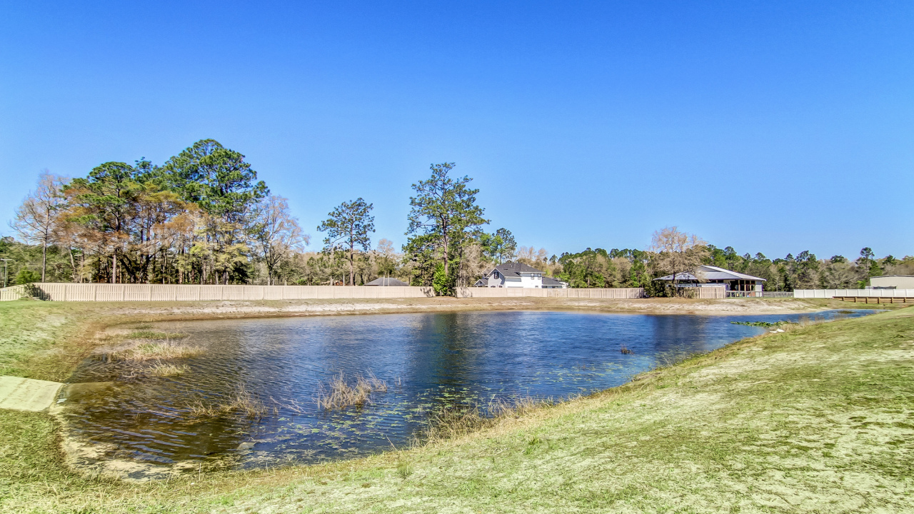 Pond
