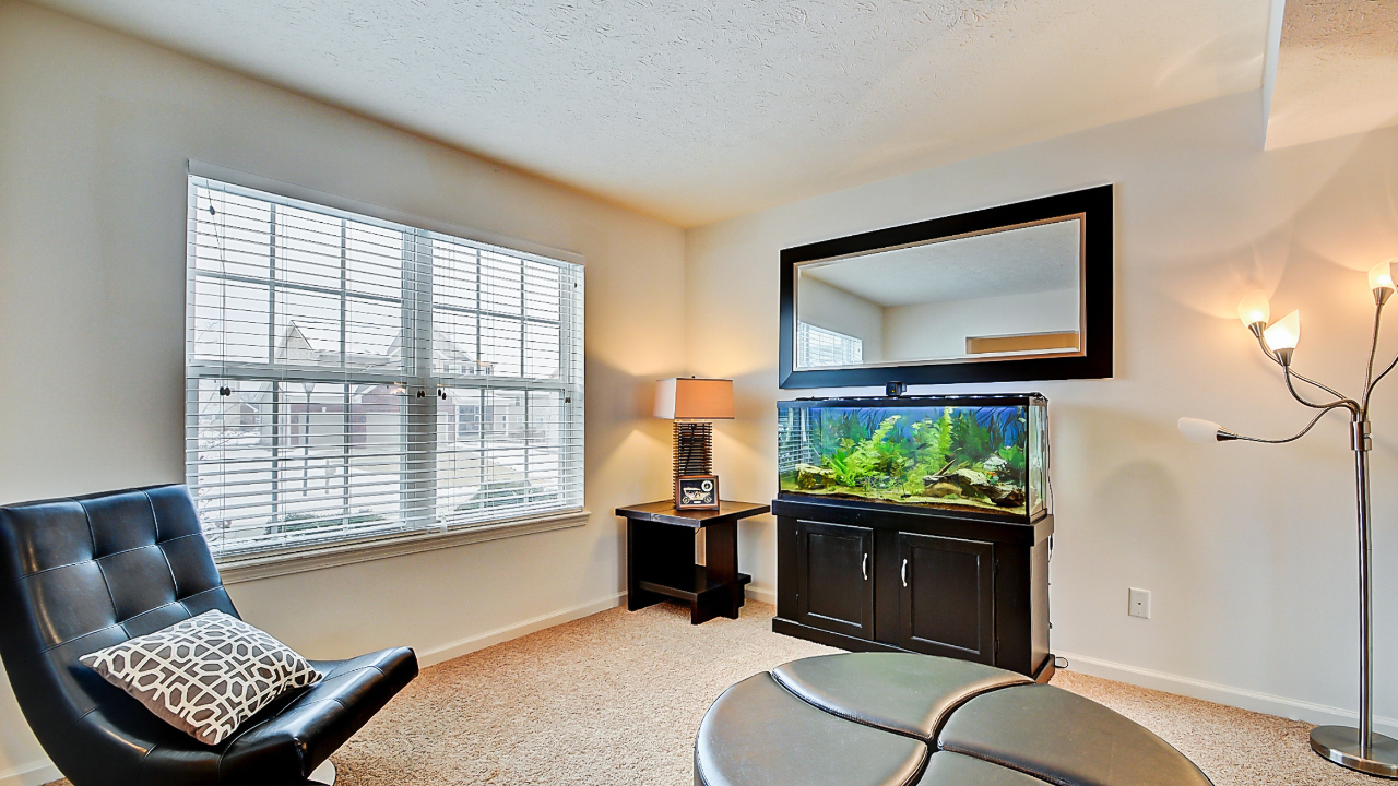 Formal Living Room/ Dining Room