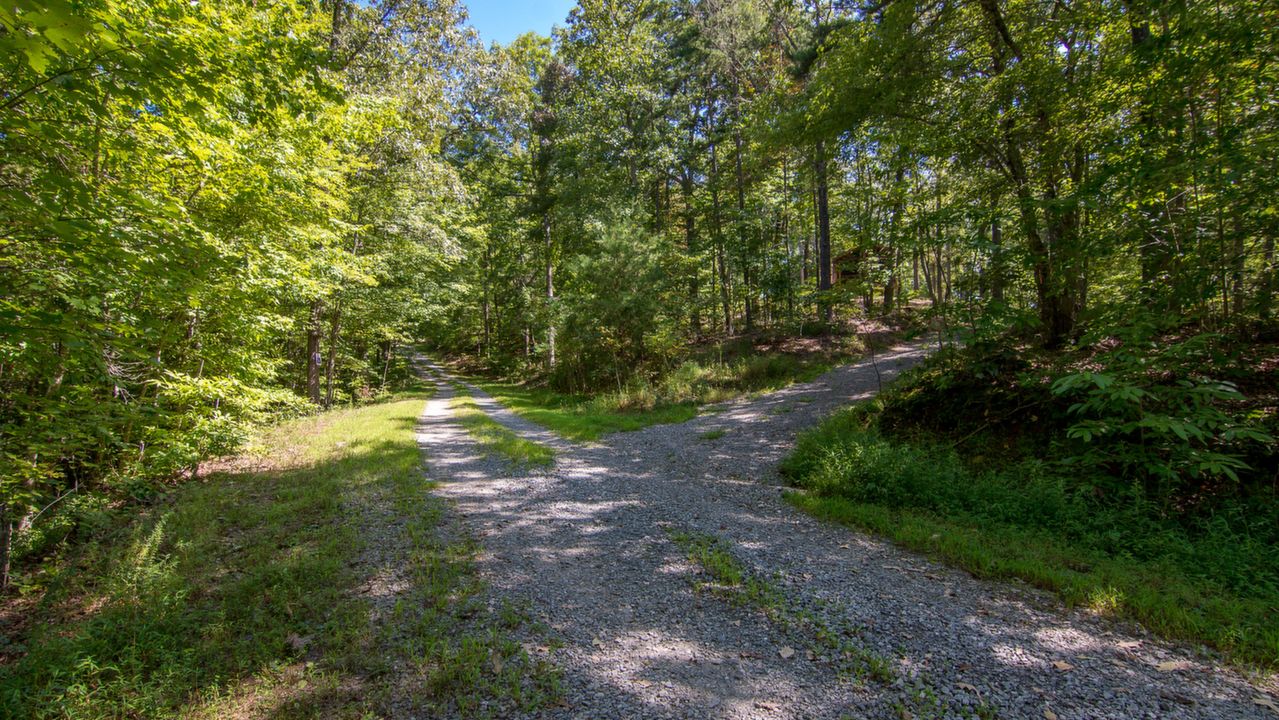 Subdivision Lot, Mineral Bluff, GA, 30559 Scene 2