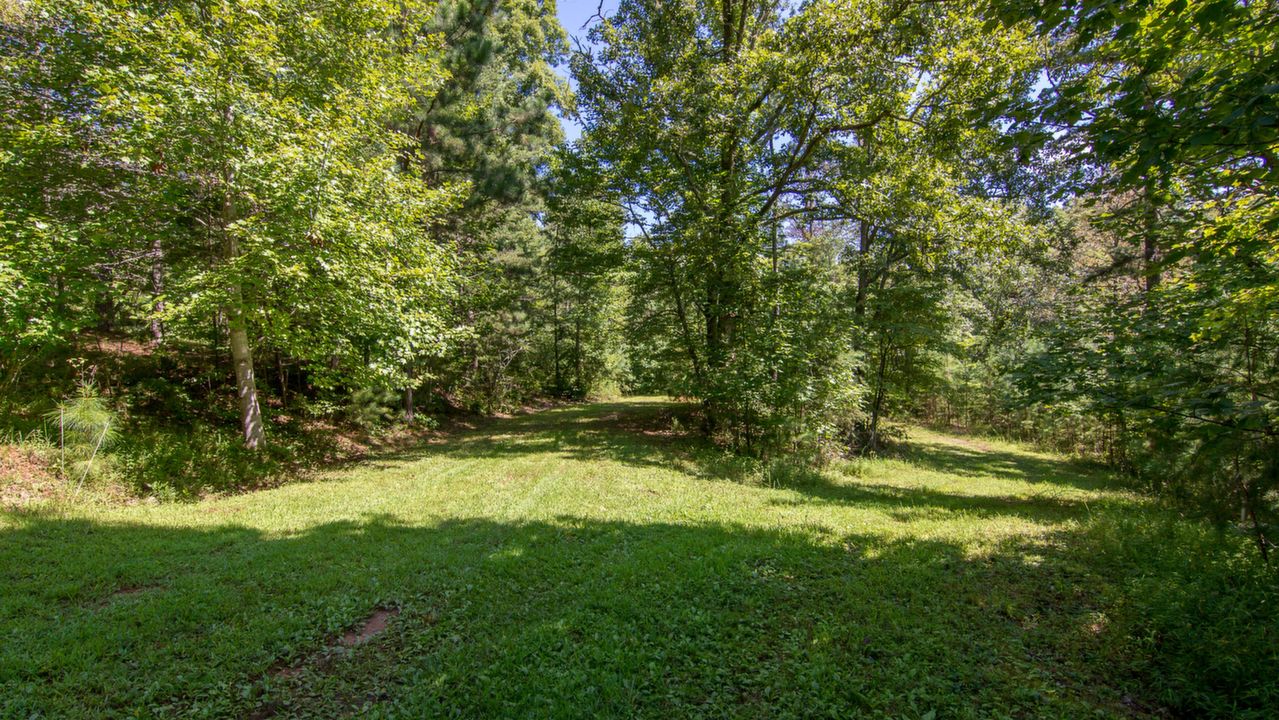 Subdivision Lot, Mineral Bluff, GA, 30559 Scene 3