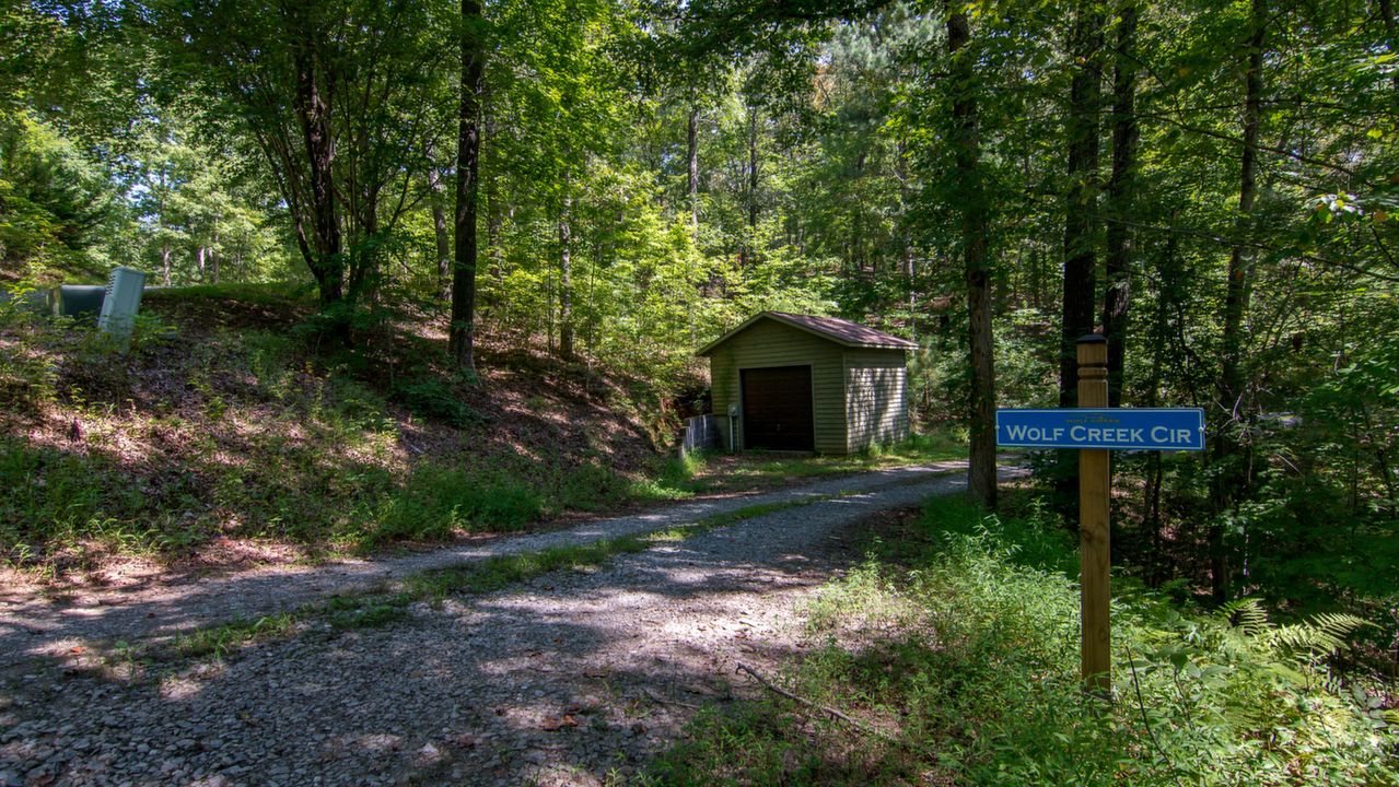 Subdivision Lot, Mineral Bluff, GA, 30559 Scene 4