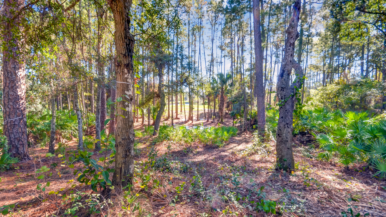 Lot 20 Long Point Drive