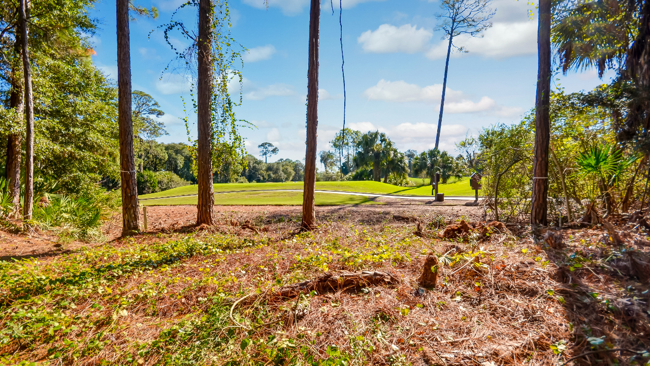 Lot 20 Long Point Drive
