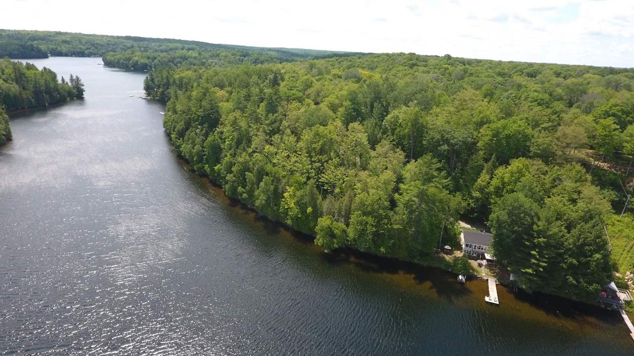 417 Claytons Cove Rd., Coe Hill, ON, K0L 1P0 Scene 1