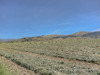 Hay & Wheel Lines - 2519 MT Highway 284